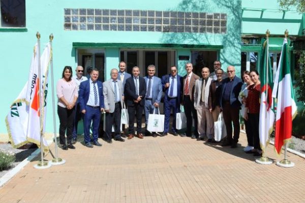 raffineria_italiana8